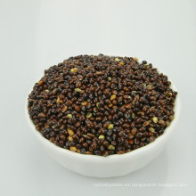 Black Broom Corn Millet